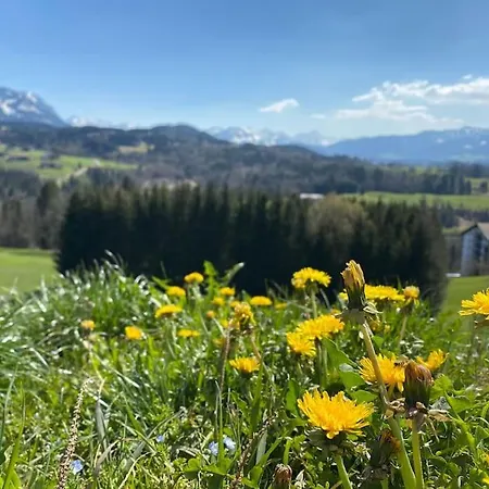 Penthouse Im Dachgeschoss